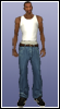 Model skinu 