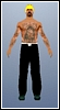 Model skinu 