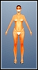 Model skinu 