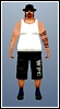Model skinu 